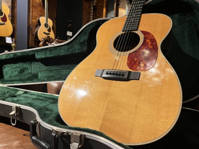 売れ筋商品 falcone アコースティックギター ギター - ridewithus.com
